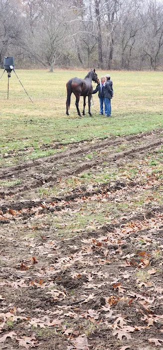 Mobile Horse Doc: Erica Wallace, DVM Picture 1