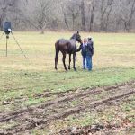 Mobile Horse Doc: Erica Wallace, DVM
