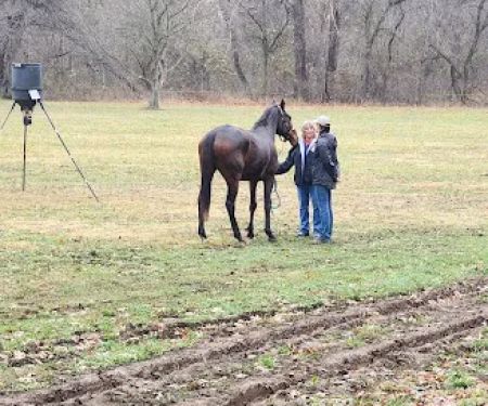 Mobile Horse Doc: Erica Wallace, DVM