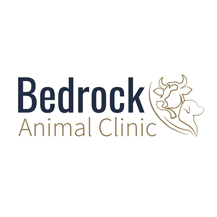Bedrock Animal Clinic - Large Animal Picture 1
