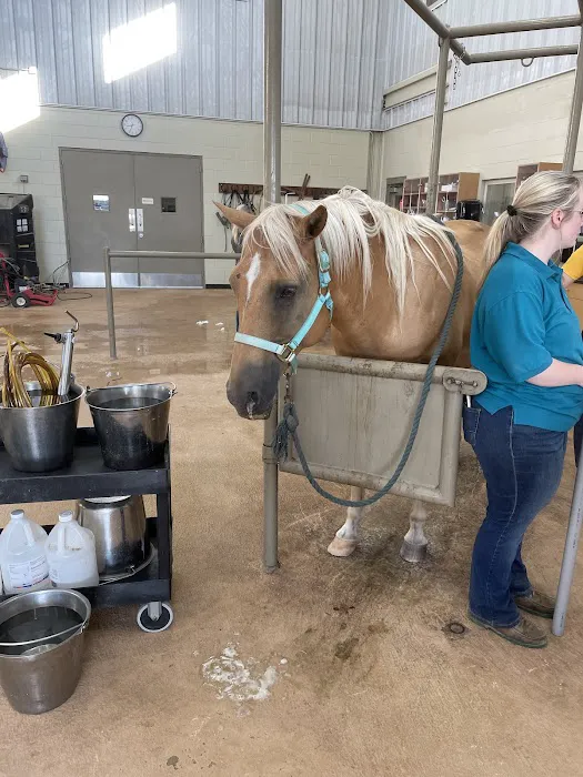 Pine Ridge Equine Hospital Picture 4