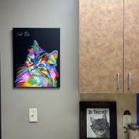 Woodland West Animal Hospital: Yeagley Todd DVM ico