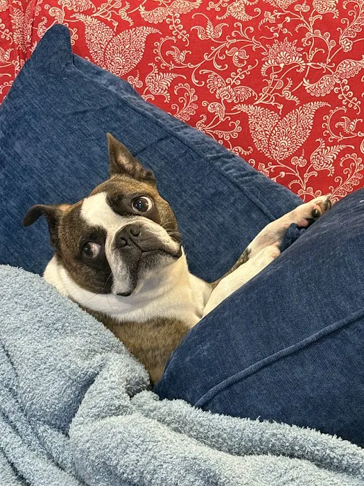 Woodland West Animal Hospital Picture 1