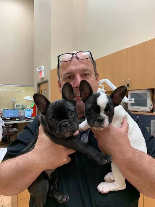 Woodland West Animal Hospital Picture 2