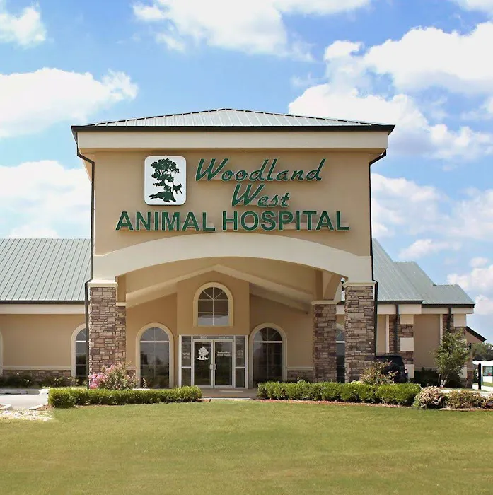 Woodland West Animal Hospital Picture 6
