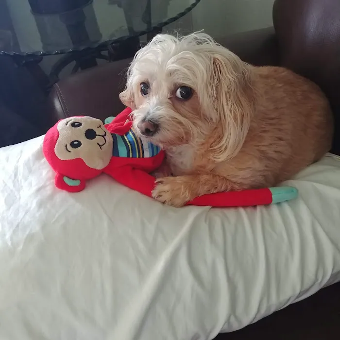 Woodland West Animal Hospital Picture 9