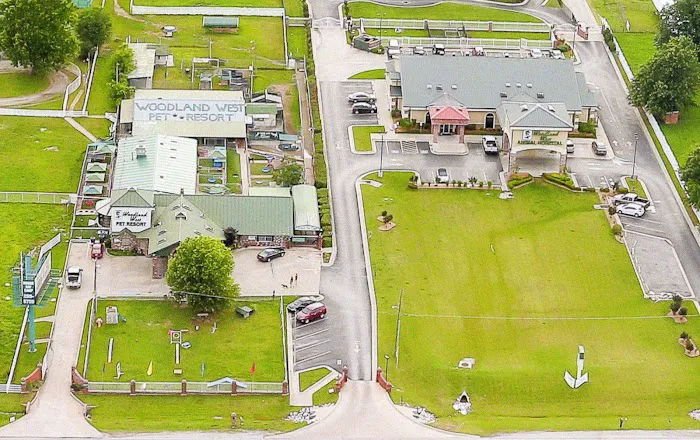 Woodland West Animal Hospital Picture 5