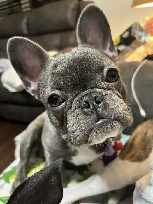 River Valley Animal Hospital Picture 3