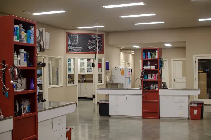 River Valley Animal Hospital Picture 2