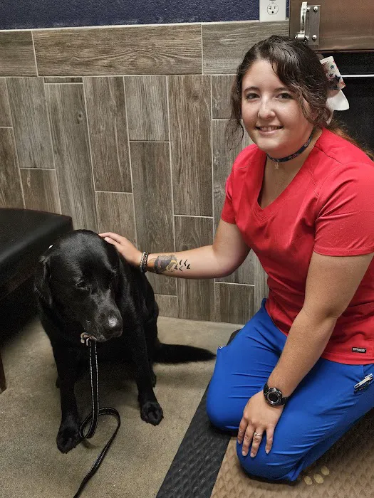 River Valley Animal Hospital Picture 5