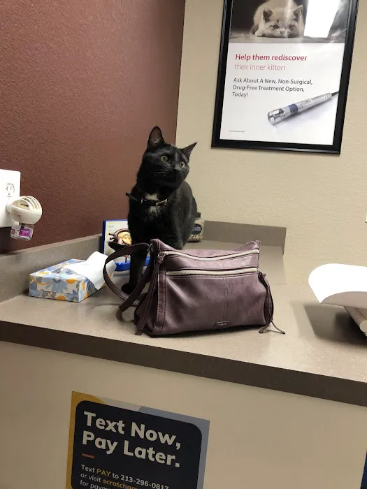 River Valley Animal Hospital Picture 9