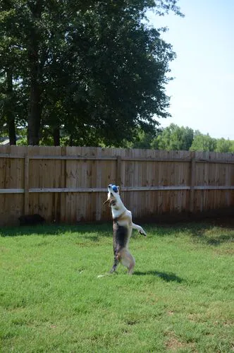 River Valley Animal Hospital Picture 7