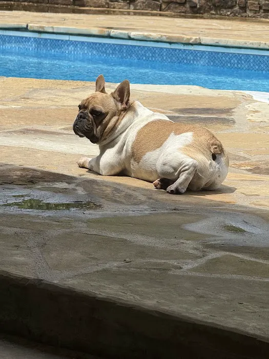 River Valley Animal Hospital Picture 6