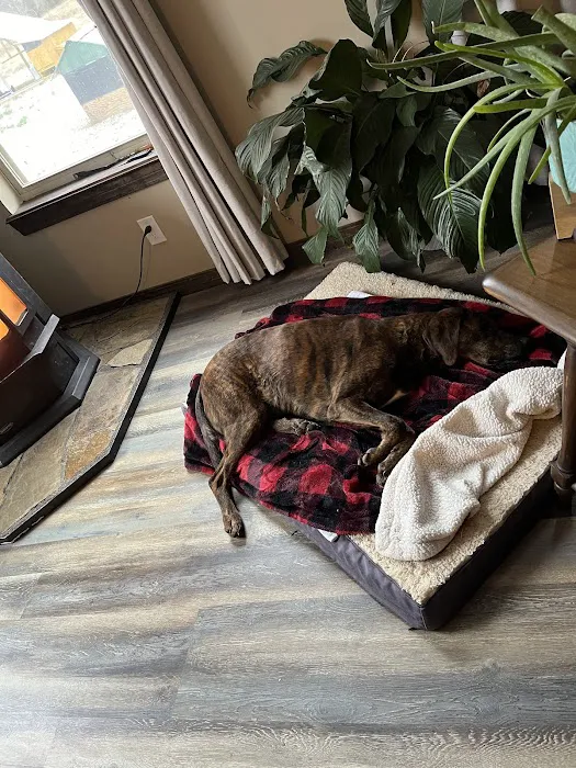 Heavener Animal Clinic Picture 4