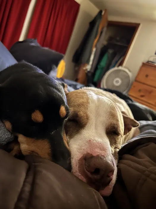 Heavener Animal Clinic Picture 1