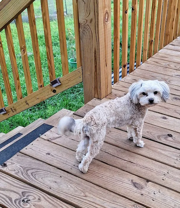 Heavener Animal Clinic Picture 6