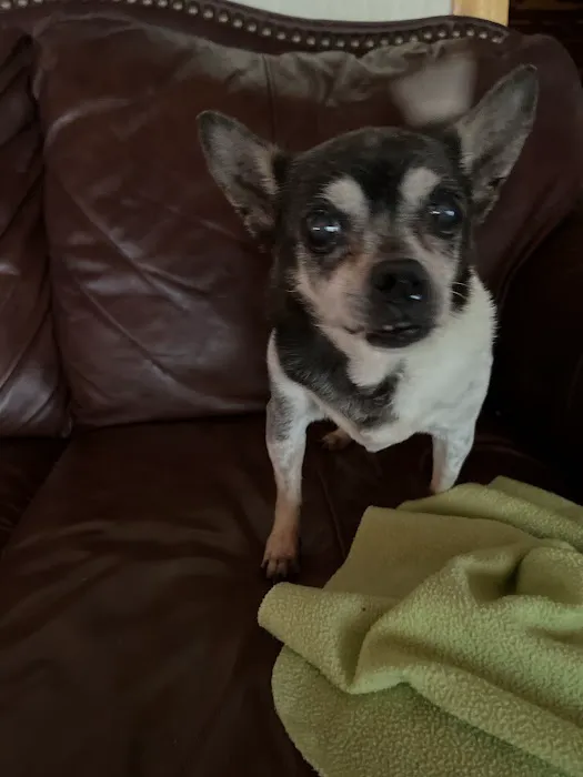 Heavener Animal Clinic Picture 9