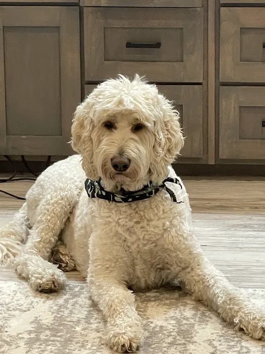 Cornerstone Veterinary Clinic Picture 1