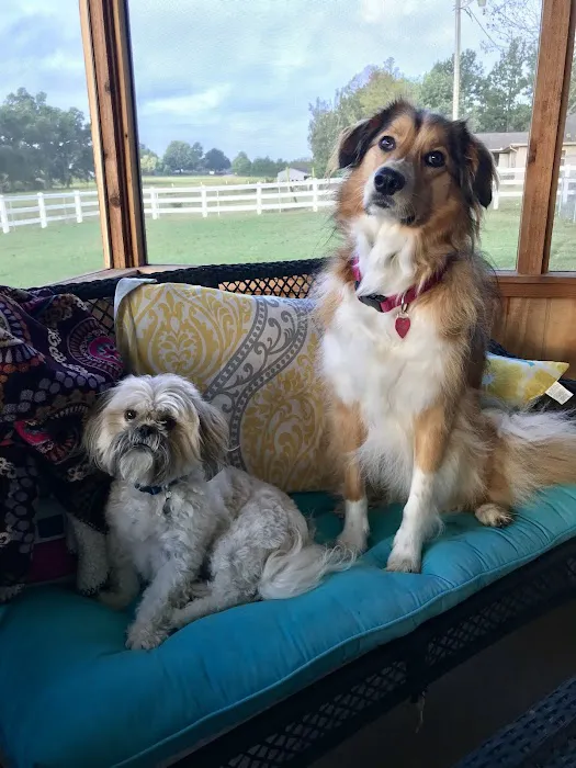 Cornerstone Veterinary Clinic Picture 6