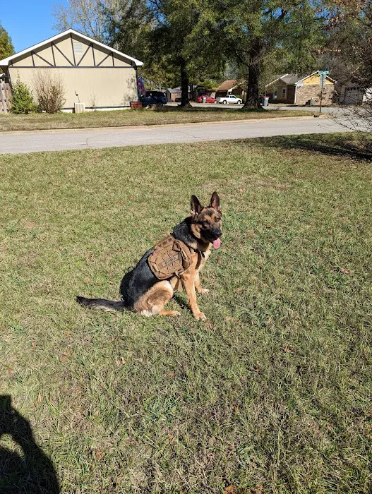 Cornerstone Veterinary Clinic Picture 7