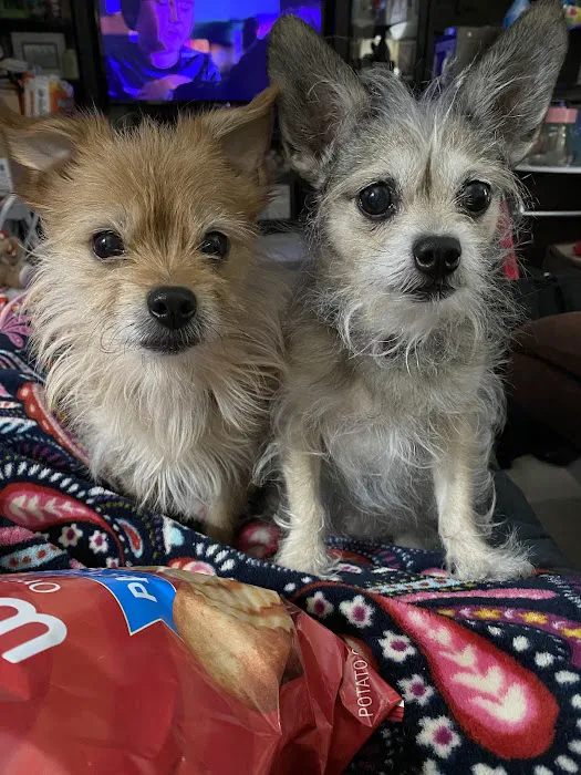 Cornerstone Veterinary Clinic Picture 4