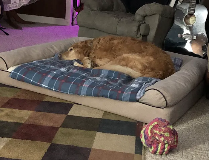 Cornerstone Veterinary Clinic Picture 8