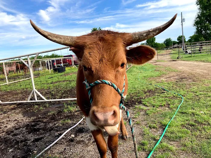 Miller Veterinary Hospital & Mobile Services Picture 1