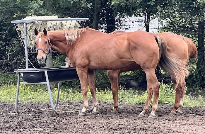 Miller Veterinary Hospital & Mobile Services Picture 3