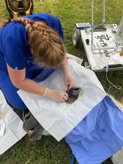 Miller Veterinary Hospital & Mobile Services Picture 2