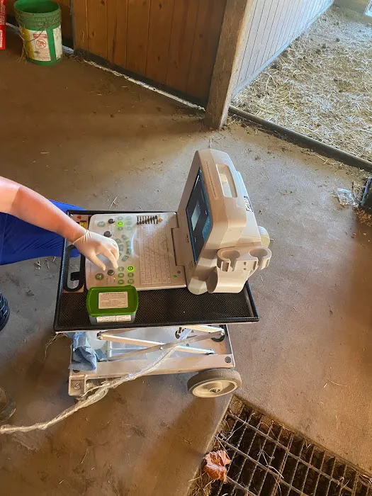 Miller Veterinary Hospital & Mobile Services Picture 5