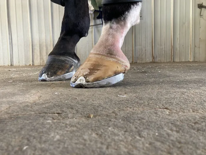 Miller Veterinary Hospital & Mobile Services Picture 7