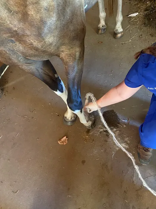 Miller Veterinary Hospital & Mobile Services Picture 9