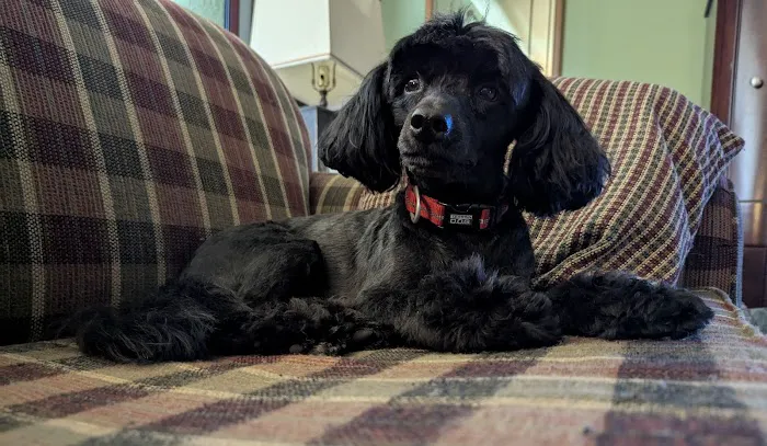 Aday Veterinary Hospital Picture 1