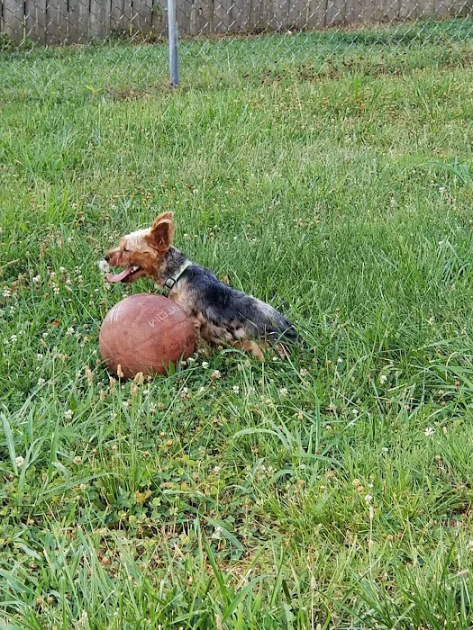 Aday Veterinary Hospital Picture 4