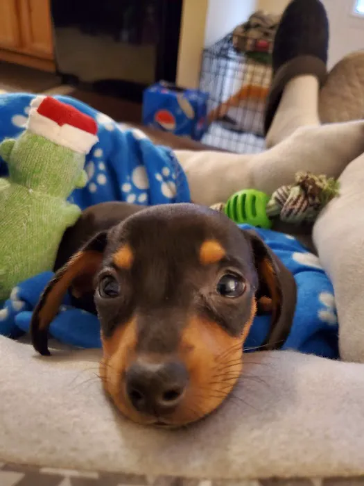 Aday Veterinary Hospital Picture 6