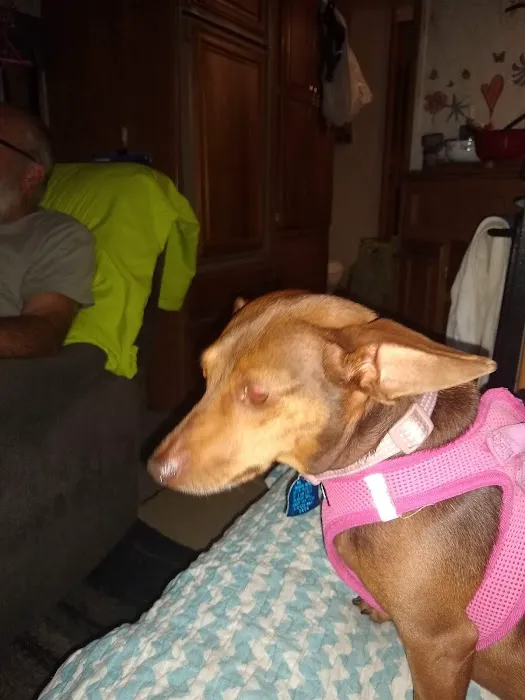 Aday Veterinary Hospital Picture 2