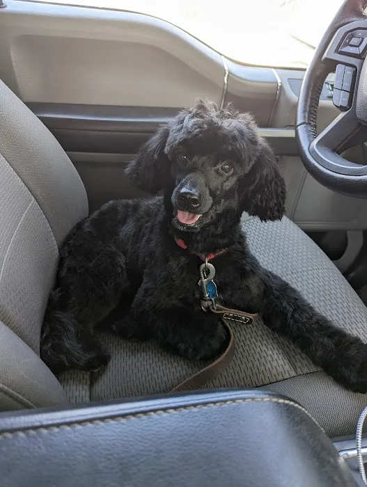 Aday Veterinary Hospital Picture 7