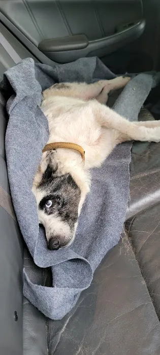 Aday Veterinary Hospital Picture 9