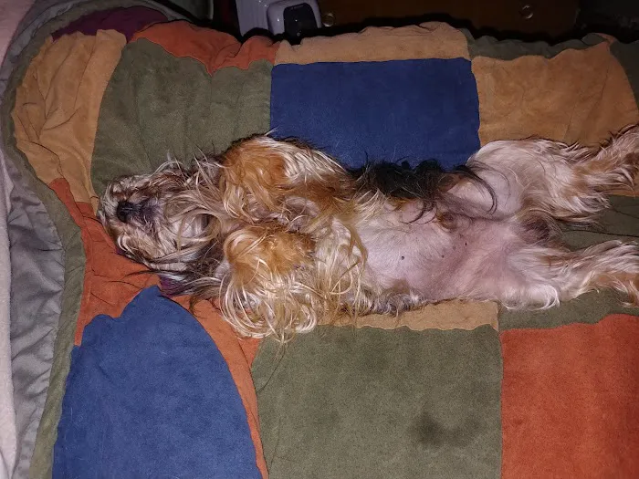 Aday Veterinary Hospital Picture 10