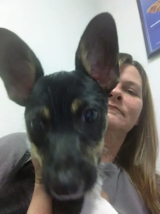 Aday Veterinary Hospital Picture 8