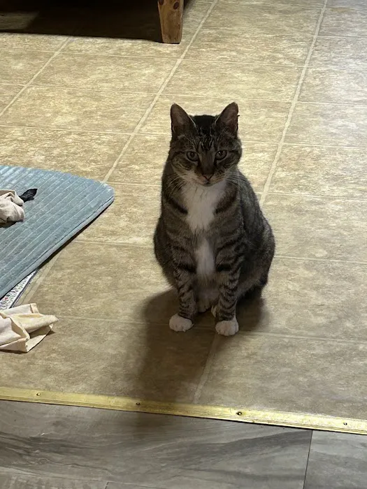 Crocker Veterinary Care Picture 4