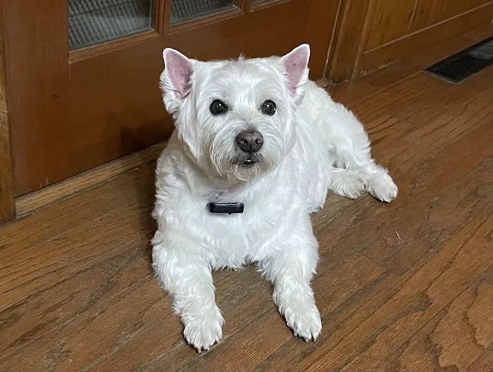 Crocker Veterinary Care Picture 2