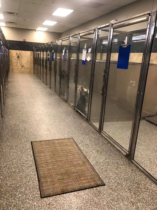 Green Country Veterinary Hospital Picture 8