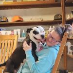 Mounds Veterinary Clinic