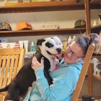 Mounds Veterinary Clinic ico