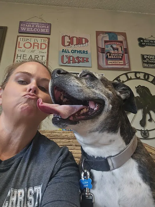 Mounds Veterinary Clinic Picture 2