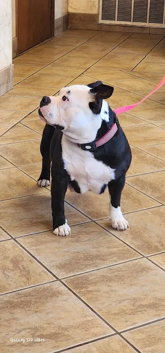 Mounds Veterinary Clinic Picture 4