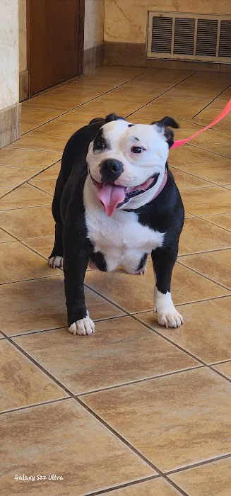 Mounds Veterinary Clinic Picture 5