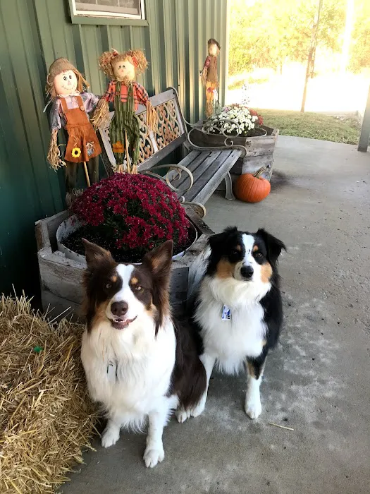 Bynum Veterinary Clinic Picture 2