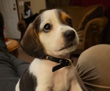 Bynum Veterinary Clinic